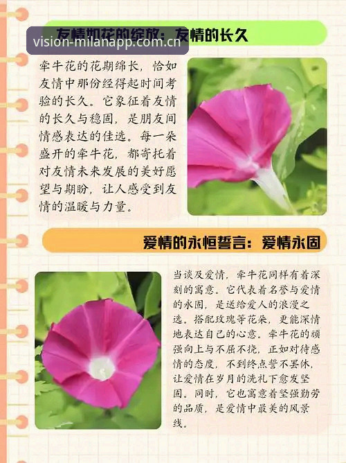 看得见的生长力安卓下载 看得见的生长力安卓下载实用指南:从下载到上手的数据操作教程