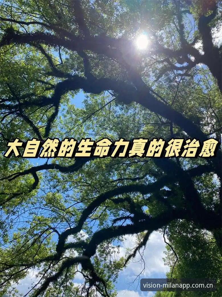 看得见的生长力安卓下载：UN69版本如何改变你的观赛方式
